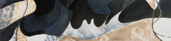 Snowy Mountain Flint